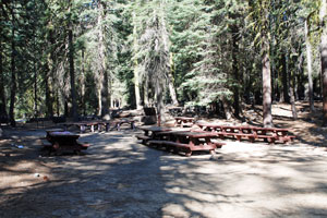 Aspen Group camp, Tahoe National Forest, CA