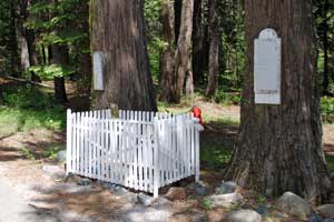 Lone Grave, Highway 20, Nevada County, CA