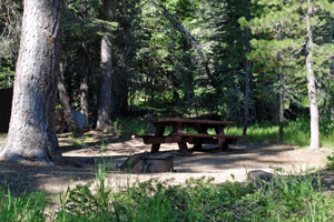 Jackson Meadows Reservoir Camping